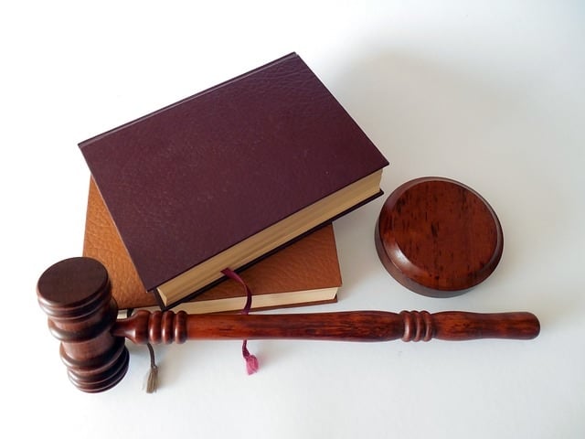 asistentă legală cv